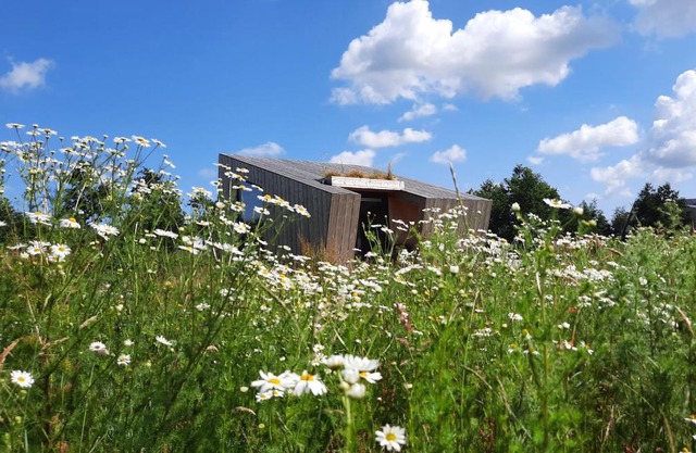 Duurzaam Tinyhouse aan het water in Friesland