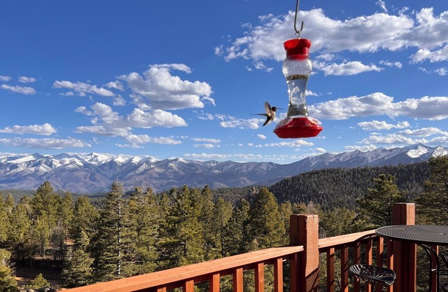 Eagle Vista