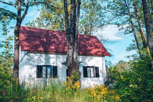 Eco House Nevidio