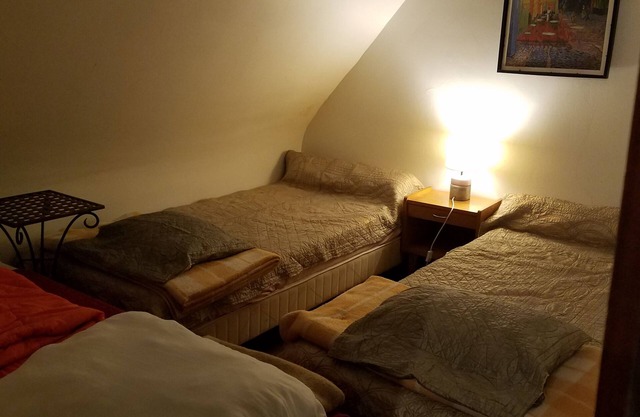 Eco-Van Gogh Room