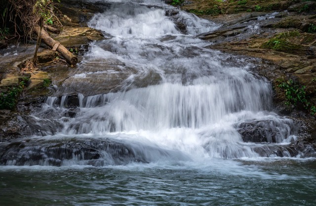 Eco Villa with Cascading Waterfall, Swim Hole, River and Fruit Orchard