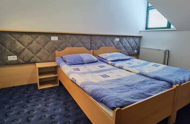 Economy double or twin room 21
