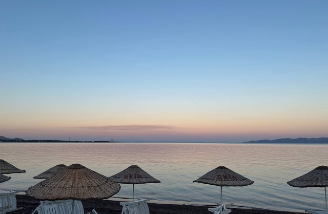 Ekin Assos