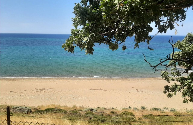 Ekom Cafe Pansiyon