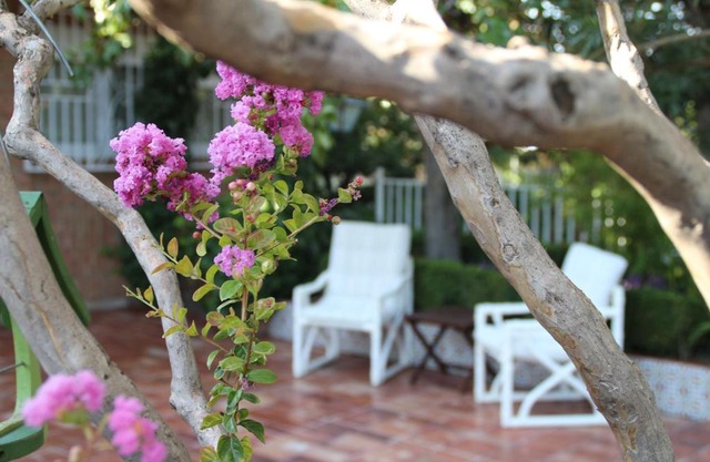 El jardín de la abuela