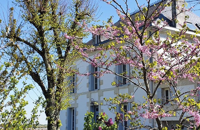 Elegant 4-bedroom Manor house in enchanting Épargnes, Charente Maritime.