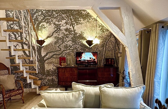 Elegant, bright apartment in the heart of Orléans
