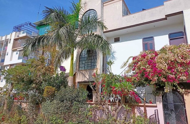 Elegant Escape in the Pink City