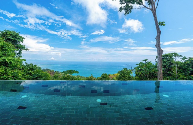Endless Ocean , Jungle and Whales Tails Views