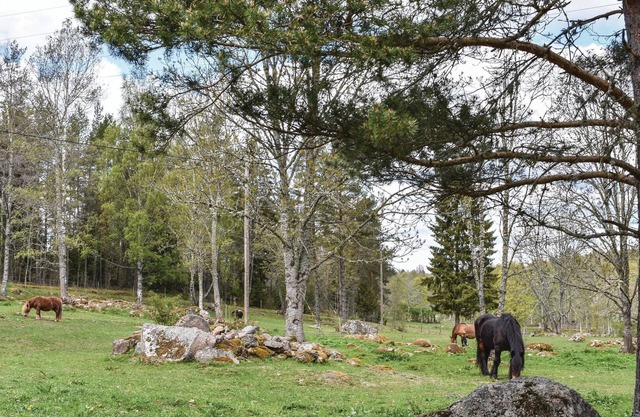 Enjoy a holiday close to nature and plenty of peace and quiet in this holiday home near Kisa.