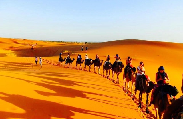 Enjoy luxury Moda Camp Camel Quad Sunboarding ATV