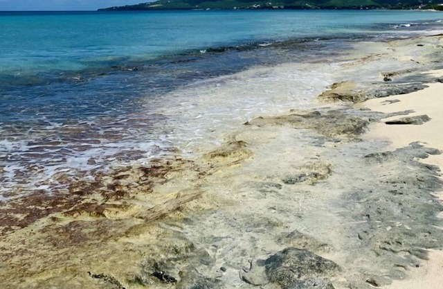 Enjoy Serenity by the Sea! Wake up and swim in the Caribbean Sea!