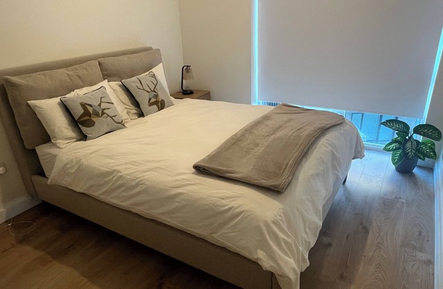 Ensuite Modern Bedroom