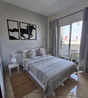 Entire Apartment