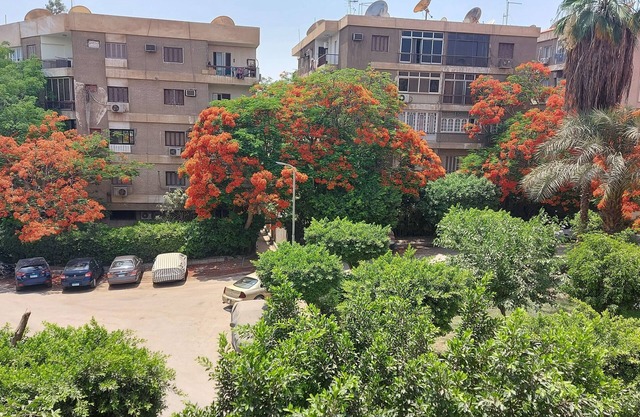 Excellent furnished apartment ready to move in quite area at Maadi