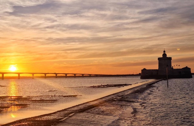 Experience exciting culture in Mortagne-sur-Gironde.