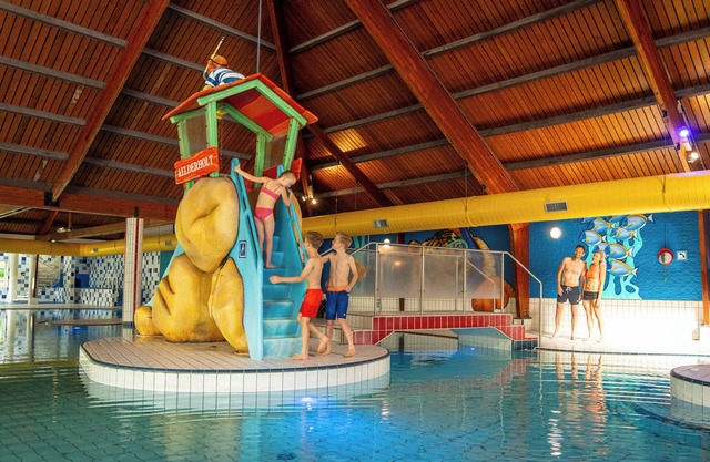 Extra luxury 4-person wellness residence in the holiday park Landal Aelderholt