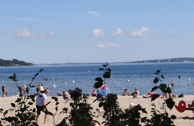 Fördeblick Aquatic Life