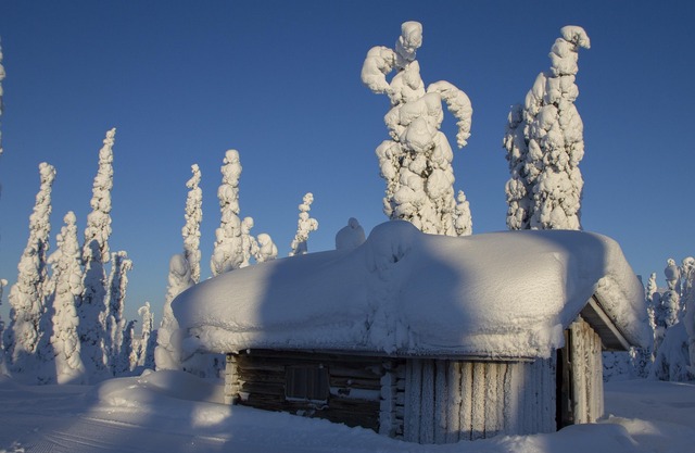 Rovaniemi in January 2025: Winter Magic and Northern Lights