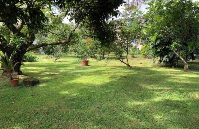 F3 apartment with garden view close to all amenities.