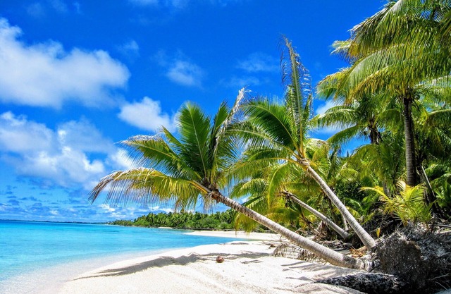 FAKARAVA SUD - Sea Renity Bungalow 2