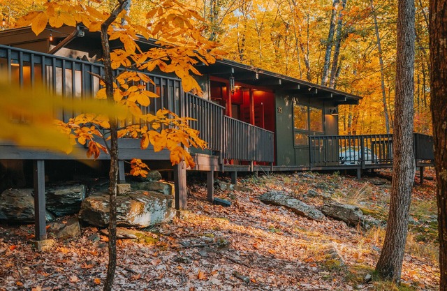 Fall Foliage Getaway!