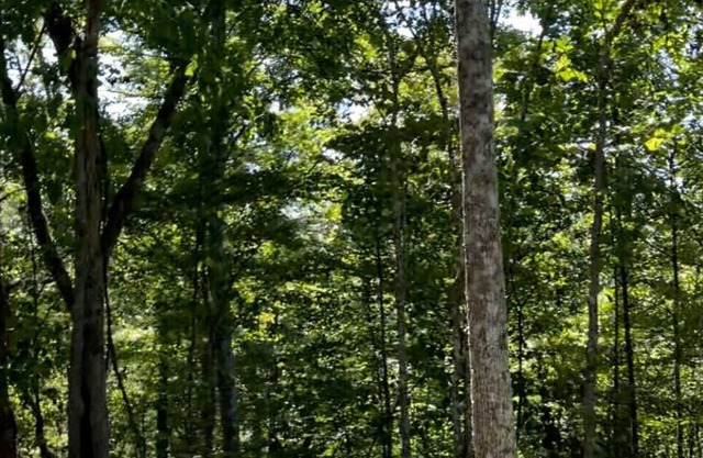 Fallsburg Frontier Campground Site #4