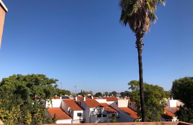 Familia Anfitriona acoge terraza