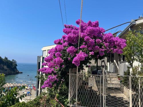 Family Guest House