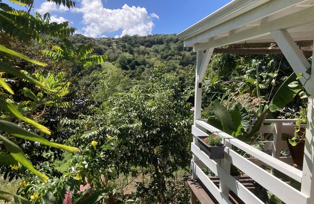 Family or couple rental in a magnificent studio with countryside view.