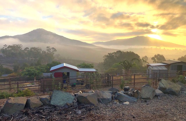 Farm Sanctuary Stay 20 min to the Beach. On 2.5 acres