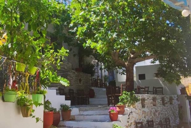 Fasolas square studio 15m2 is located 30 stairs up from the main road and it is in the old market fasolas and next to the museums
