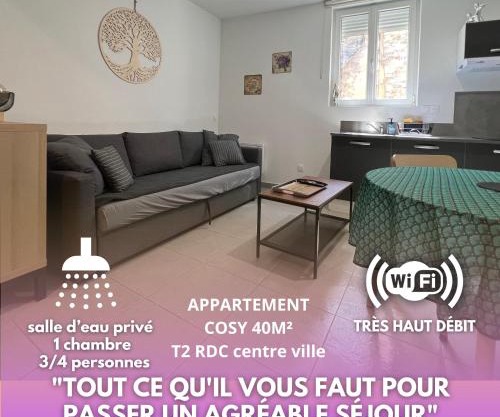 Fenix Appartement T2 40 M2 cosy RDC plein centre ville
