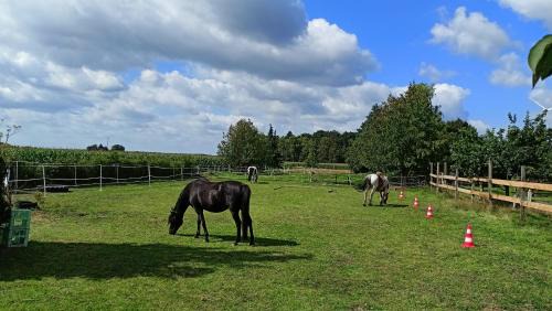 Fenland Mill Ranch