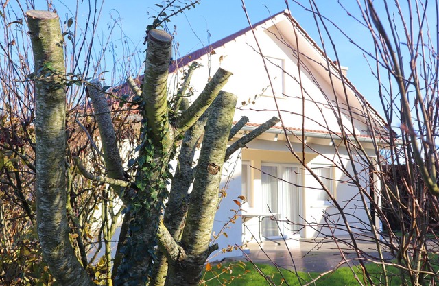 Ferienhaus Gudrun - Comfortable, barrier-free vacation for all generations!