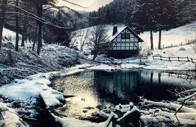 Ferienhaus im Sauerland