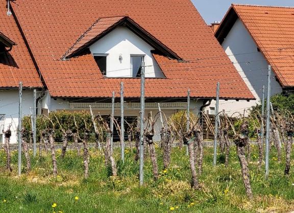 Ferienhaus Vongerichten
