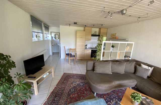 Ferienwohnung 57 qm, Wohnzimmer mit integrierter Küche, Badezimmer mit Dusche und WC