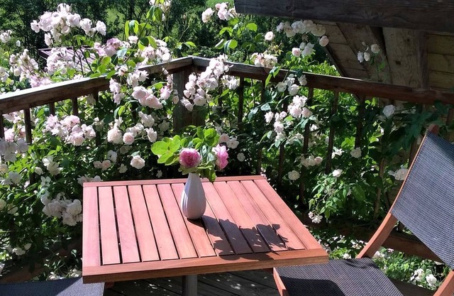 Ferienwohnung Rose, 45qm mit 1 Schlafzimmer und 1 Wohn-/Schlafzimmer mit Balkon für max. 3 Personen