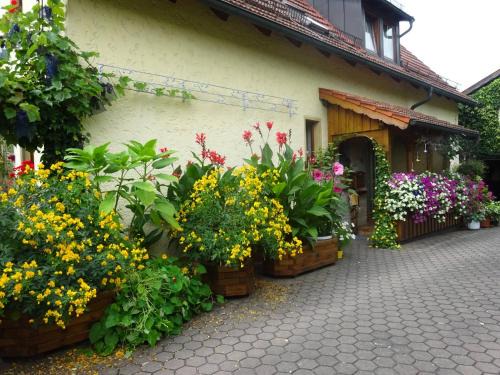 Ferienwohnung Wassergartenparadies
