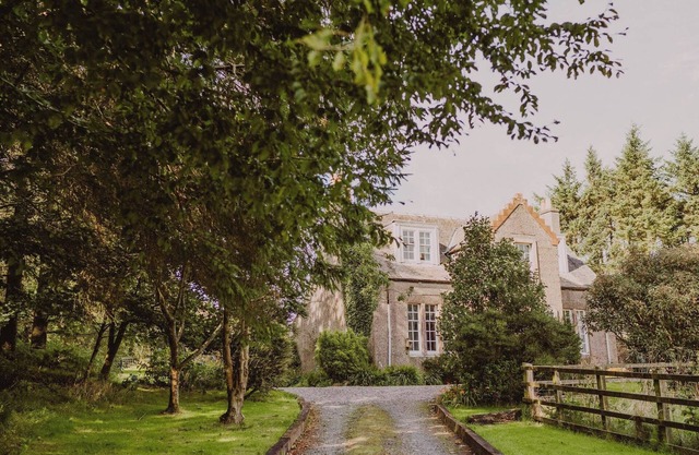 Fern Forest House- UK31047