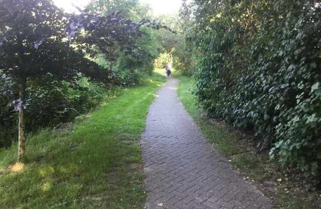 FeWo am Ringkanal