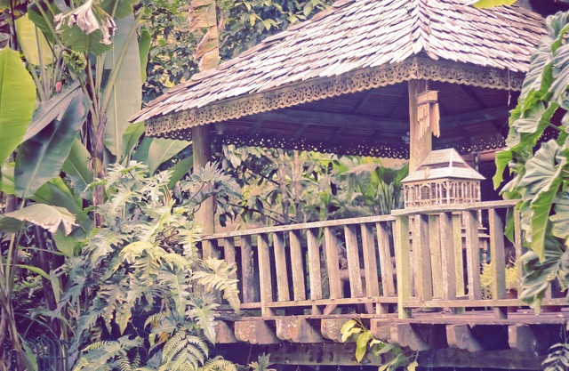 Fig Tree Hill Resort