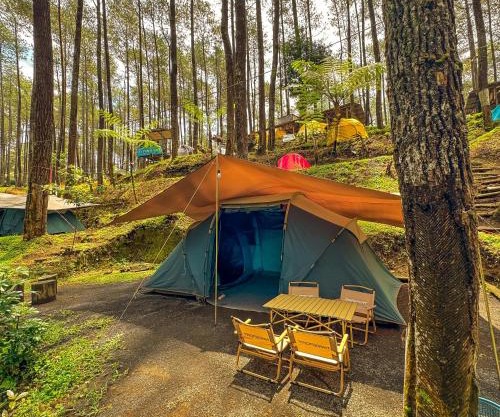 Finest Camp