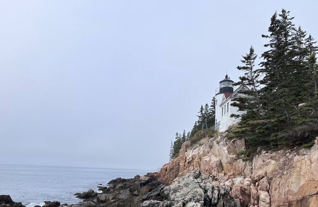 Fiona's Quiet Side Cottage—2 min to ocean, 1m to Bass Harbor Light