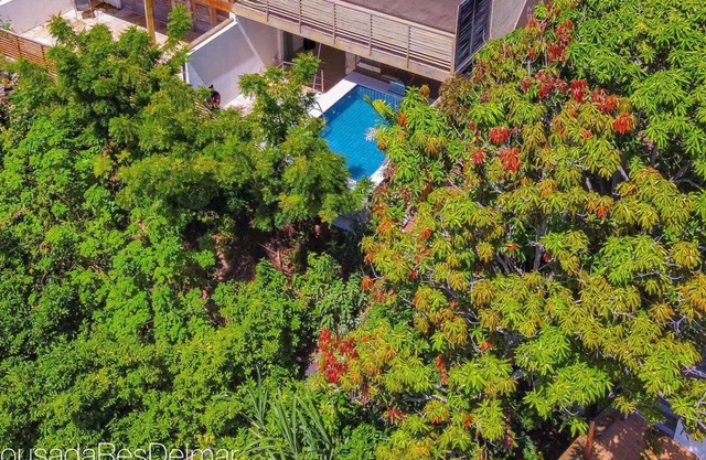 First Line Ocean View 4 Bedroom Apartment in Baia Formosa Brazil RN