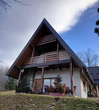 Forest house ALEKSANDAR