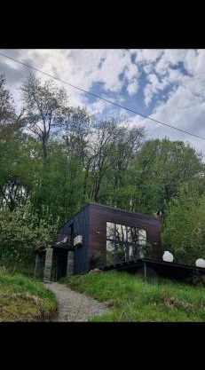 Forest Studio Corunca