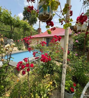 Friendly Cottage with small Pool