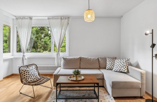 Functional apartment in Zurich